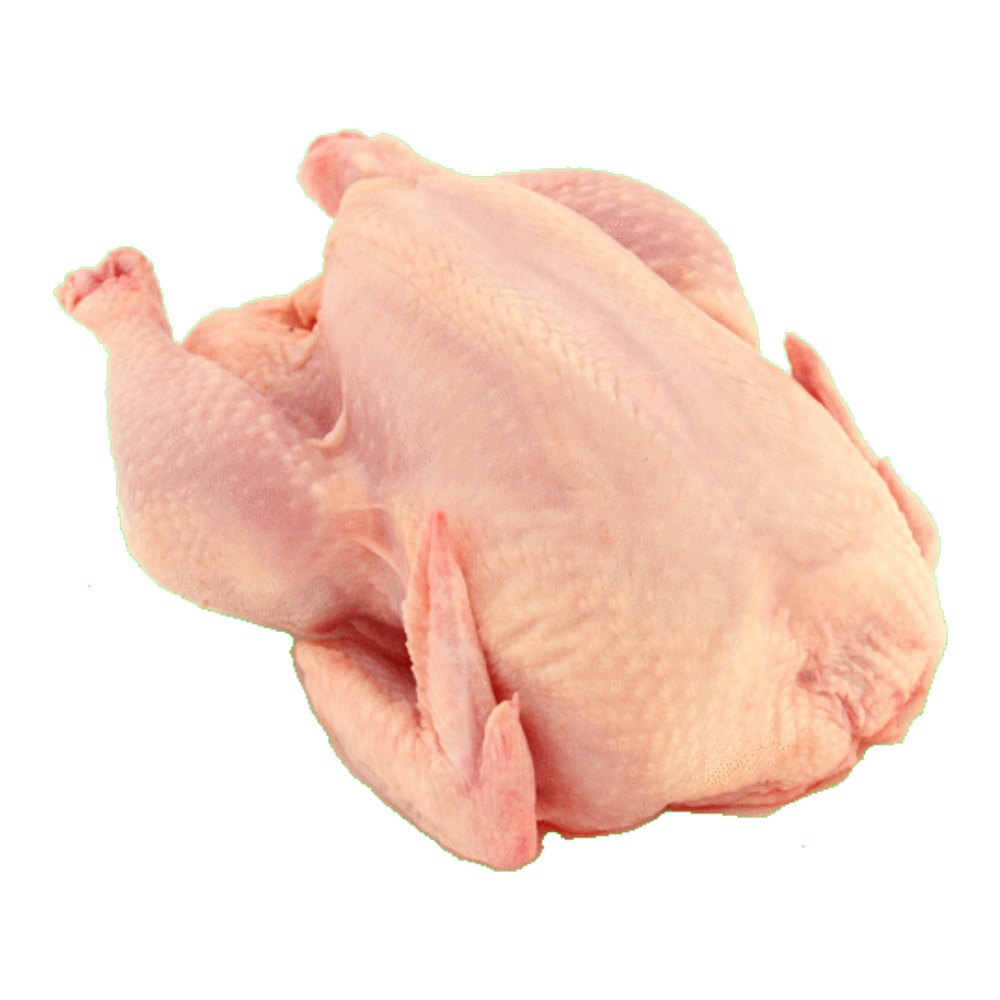Fresh whole chicken | Premium Poultry